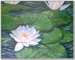 Water Lily