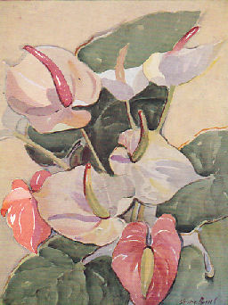 Anthuriams